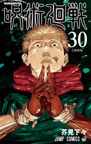JUJUTSU KAISEN, VOL. 30 cover