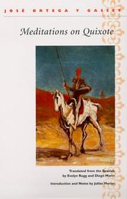 Meditaciones del Quijote cover