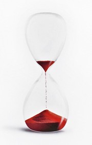 The Short Second Life of Bree Tanner cover