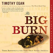 The big burn cover