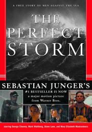 The Perfect Storm cover