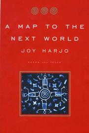 A Map to the Next World cover