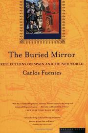 The Buried Mirror cover