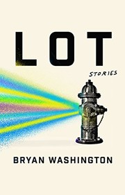 Lot cover