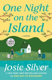 One Night on the Island cover