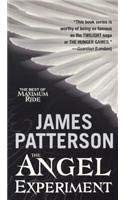 The Angel Experiment cover