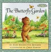 Lost in Little Bear’s Room cover