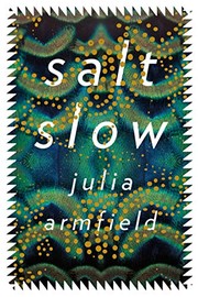 salt slow cover