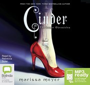 Cinder cover