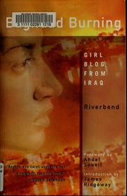 Baghdad burning cover
