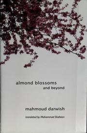Ka-zahr al-lawz aw abʻad cover