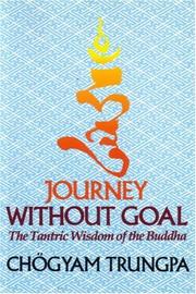 Journey without goal cover