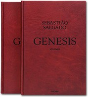 Genesis cover